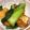 あぶきち's cooksnap of when they made 調味料1つ☆厚揚げと青梗菜の生姜煮☆夕食.