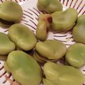 とうやんママ's cooksnap of when they made 簡単♡そら豆のすご〜くおいしい茹で方.