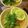 まっきー♪３７'s cooksnap of when they made 早い簡単☆お姉ちゃんのトムヤムクン.