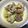 Renchan's cooksnap of when they made 簡単！イタリア式あさりの白ワイン蒸し.