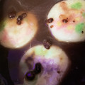 ふぁんころ's cooksnap of when they made 計量不要!! あずき缶で簡単おしるこ.