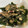 papikun's cooksnap of when they made 簡単！新玉ねぎとワカメのサラダ.