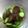 クック2O2RWD☆'s cooksnap of when they made きゅうりもずく.