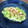 ペキのリリー's cooksnap of when they made アボカドのクリームチーズと柚子胡椒和え.