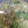 クック2O2RWD☆'s cooksnap of when they made サバ缶と夏野菜の冷や汁.
