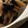 MULA's cooksnap of when they made きくらげとごぼうとこんにゃくの煮物.