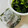 azbjbn's cooksnap of when they made ✿生わかめの保存方法✿.