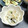 natsukori's cooksnap of when they made もやしと乾燥わかめの酢の物.