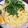 うさみきうさこ's cooksnap of when they made 材料３つで簡単！たらこパスタ.