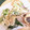 ☆＊お家グルメ工房＊☆'s cooksnap of when they made 野菜の精進揚げ.