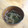 みるく茶's cooksnap of when they made もやしとワカメのおすまし♪ゆず香る♪.