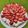 クック6KM9HW☆'s cooksnap of when they made ストロベリータルト2024.