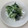 クックIONOHY☆'s cooksnap of when they made 簡単！水菜とわかめとしらすのマヨサラダ.