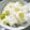 rie-rie's cooksnap of when they made フキの混ぜごはん【植物図鑑】.