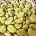 クックFJ5BNF☆'s cooksnap of when they made 簡単♡そら豆のすご〜くおいしい茹で方.