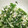ohfuneya's cooksnap of when they made 水菜の白和え.