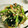 ｂｅｒｒｙ＋'s cooksnap of when they made ✿レンジで簡単！小松菜と人参の白和え✿.
