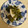 ピーナッツ子♪'s cooksnap of when they made 大根とワカメの酢の物.