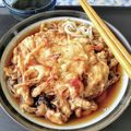 在宅勤務のおじさん's cooksnap of when they made かき揚げうどん.