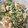 snow012's cooksnap of when they made ちくわときゅうりと卵の和風マヨ合え.