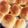 いーだだんだん's cooksnap of when they made コストコディナーロール風のパン.
