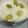 はらたら's cooksnap of when they made 炊飯器にポンでグリンピースごはん.