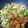 クック2O2RWD☆'s cooksnap of when they made 簡単！豚こまで青椒肉絲.