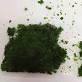 クックNL42LJ☆'s cooksnap of when they made ＜覚書＞パセリ　冷凍保存.
