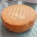 おかてくJr's cooksnap of when they made ふわふわ基本のスポンジケーキ♡18cm.