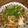 ちゃおわん's cooksnap of when they made 簡単！豆腐ステーキ✿おろしあんかけ.