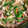 クックSUPWL9☆'s cooksnap of when they made 合い挽き肉とほうれん草のチャプチェ風.