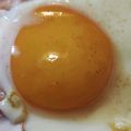 クックJAM☆'s cooksnap of when they made 簡単！おいしくきれいなベーコンエッグ.