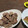 クック1QWPVZ☆'s cooksnap of when they made 砂肝の塩コショウ炒め✾.