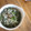 みるく茶's cooksnap of when they made ニラともやしの中華スープ.
