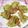 papepo☆'s cooksnap of when they made ♪ スパイシー！カリカリカレーえのき ♪.