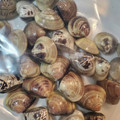 ささらんらん's cooksnap of when they made はまぐりの冷凍保存方法♪.