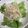 ドラミナちゃん's cooksnap of when they made 新生姜とホタテ貝柱の胡麻ドレッシング.