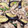 jn_njv♪'s cooksnap of when they made 豚肉となすのオイスター炒め♡.