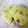 ☆★まなみん★☆'s cooksnap of when they made ✿さつま芋の蒸しパン✿ＨＭレンジで簡単♪.