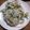 クックMDVPWO☆'s cooksnap of when they made 【郡山女子大】ピリ辛春雨サラダ.