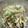 クック3DWPZ4☆'s cooksnap of when they made きゅうりともやしのツナ和え.