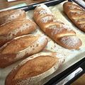 あるま's cooksnap of when they made 中力粉でフランスパン.