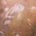 横綱てらお's cooksnap of when they made メバルとアサリの濃厚アクアパッツア.