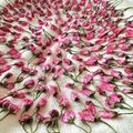 居酒屋アサティ's cooksnap of when they made 桜の花の塩漬け☆5.