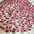 居酒屋アサティ's cooksnap of when they made 桜の花の塩漬け☆5.