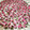 居酒屋アサティ's cooksnap of when they made 桜の花の塩漬け☆5.