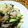 ＊じゅんころべぇ＊'s cooksnap of when they made きゅうりと新玉ねぎの棒棒鶏.
