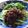 ★なみ☆'s cooksnap of when they made 簡単♪ジャージャー麺.