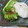 トコタン's cooksnap of when they made 塩麹と白だしで簡単！即席！かぶの浅漬け♪.