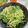 なぎゅーしゃ's cooksnap of when they made 簡単！おいしい！三つ葉のサラスパ.